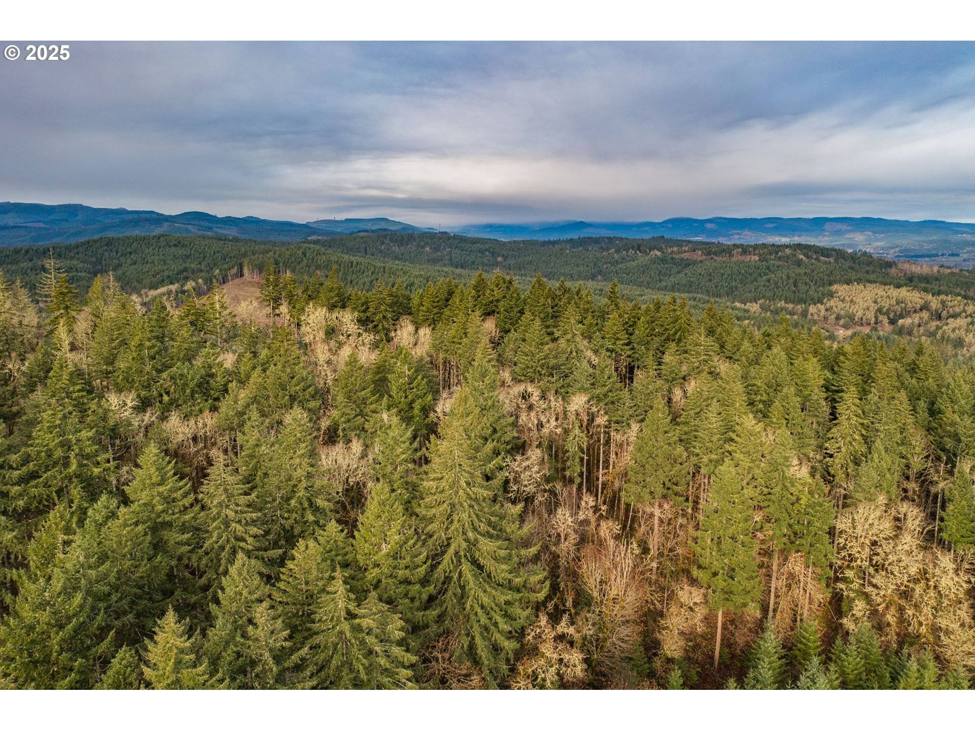 Monmouth, OR 97361,0 Airlie RD