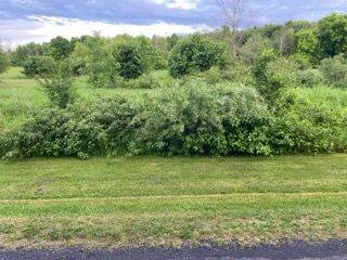 South Dundas, ON K0E 1K0,Lot Flagg RD