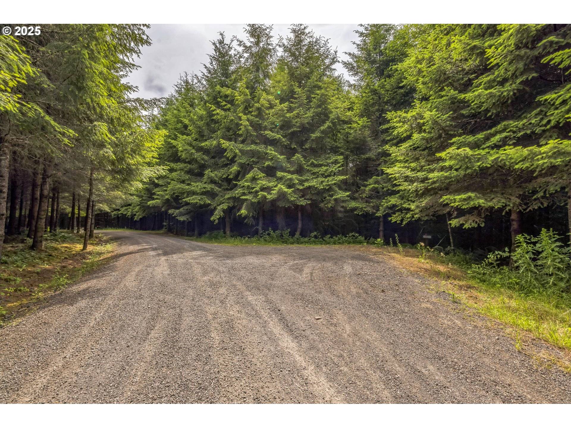 Toutle, WA 98649,Grand Rdg RD #Lot 16