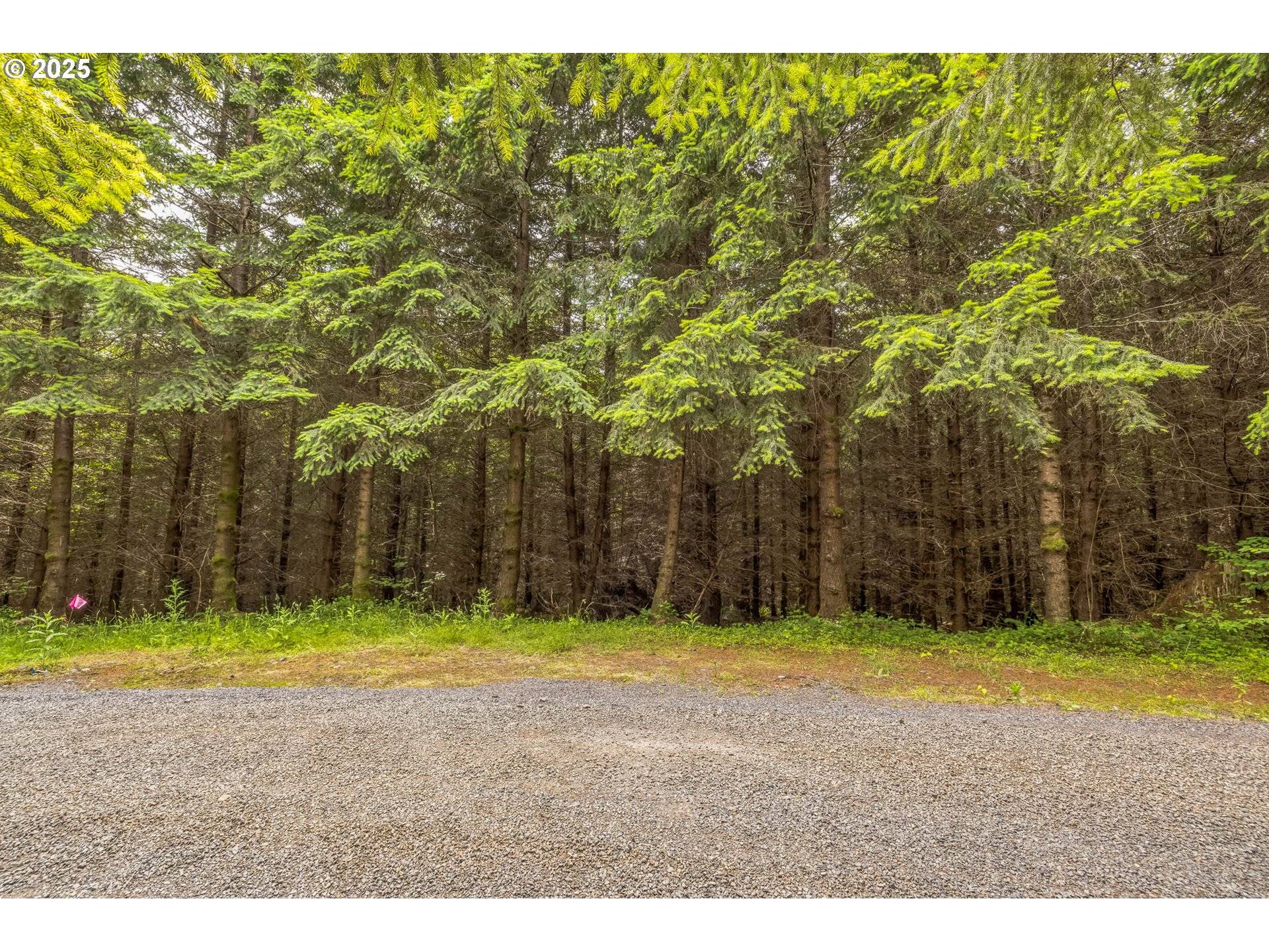 Toutle, WA 98649,Grand Rdg RD #Lot 16