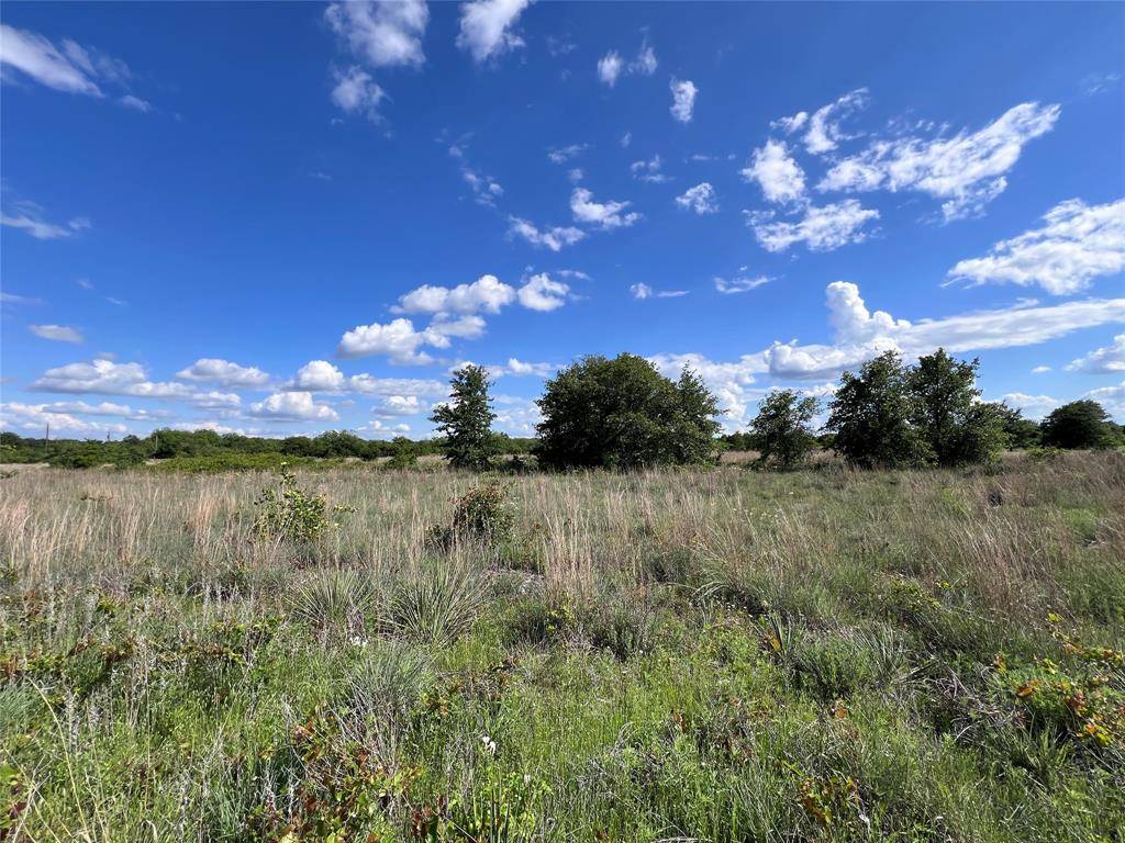 Clyde, TX 79510,TBD Lot 15 Live Oak Trail