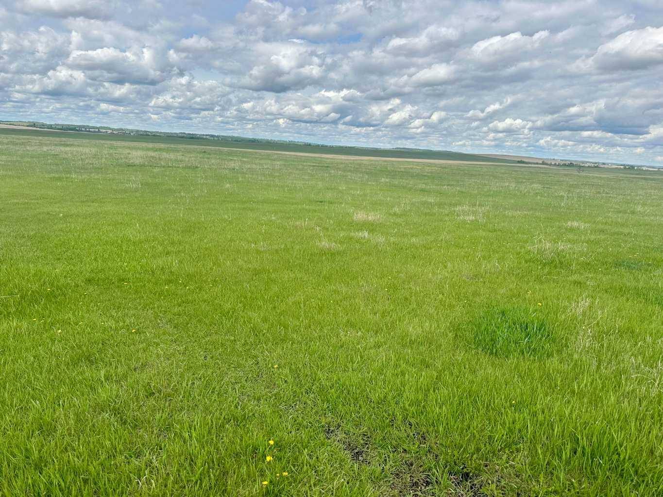 Rural Red Deer County, AB T4G 0G8,ON HWY 2A