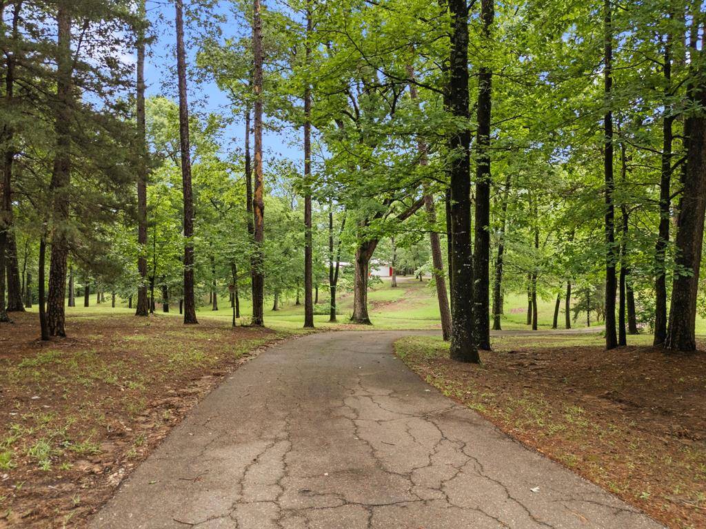 Pittsburg, TX 75686,65 County Road 2835