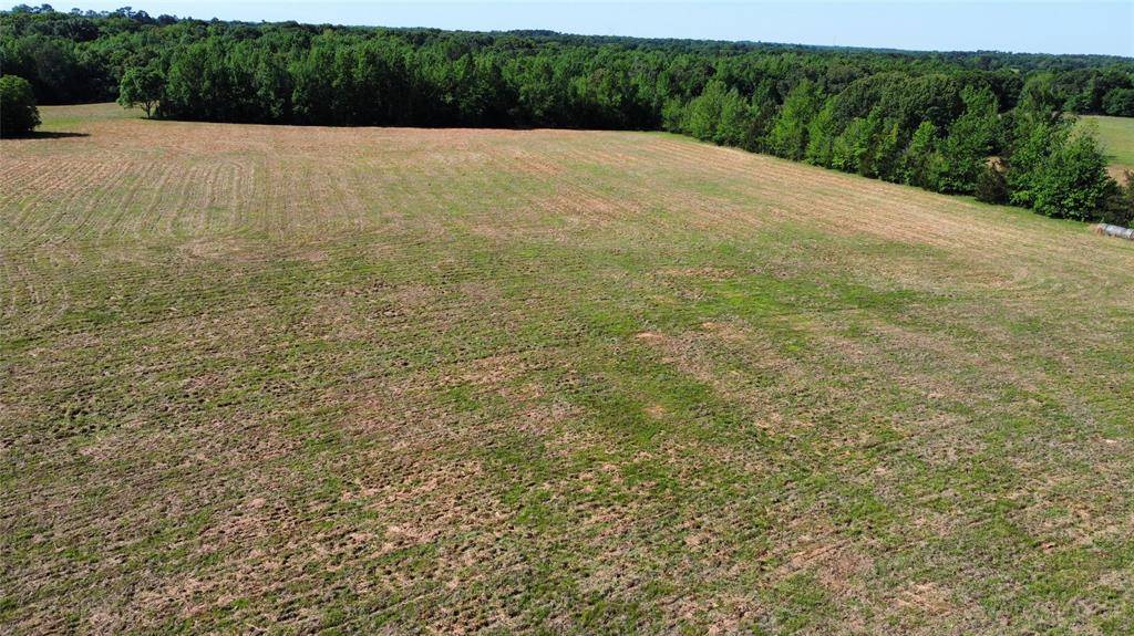 Quitman, TX 75783,000 County Road 4930