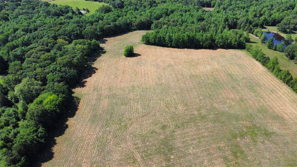 Quitman, TX 75783,000 County Road 4930