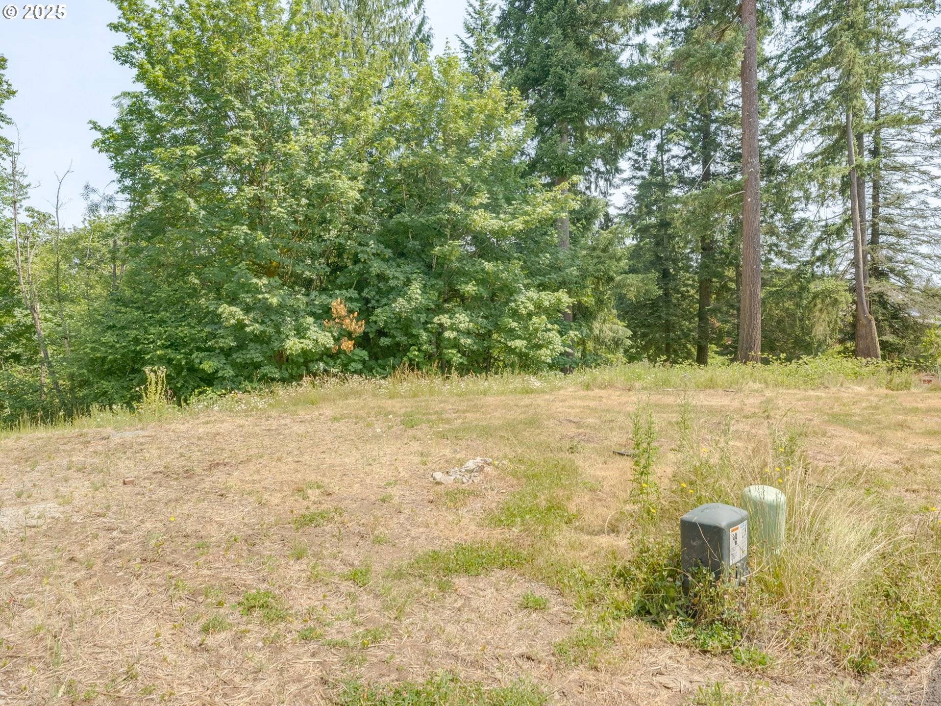 Vancouver, WA 98685,15019 NW 10TH CT