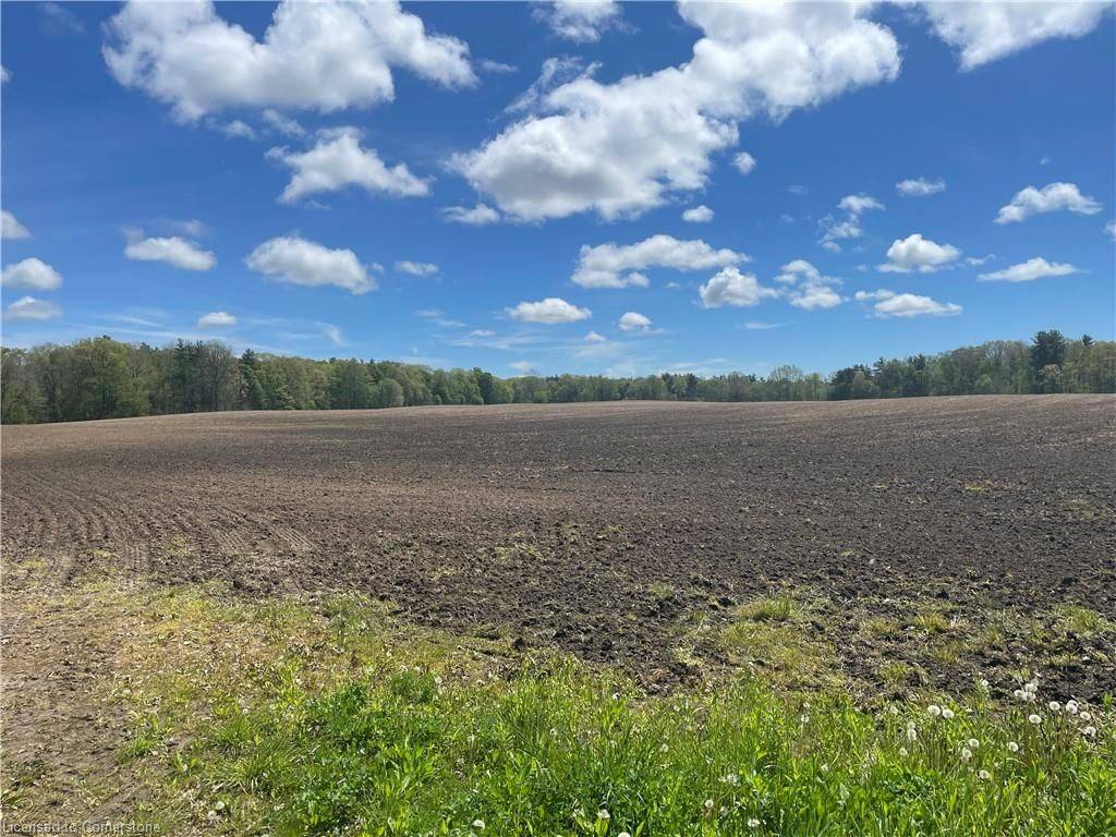 Norfolk, ON N4B 2W4,PT LT 4 concession 10 RD
