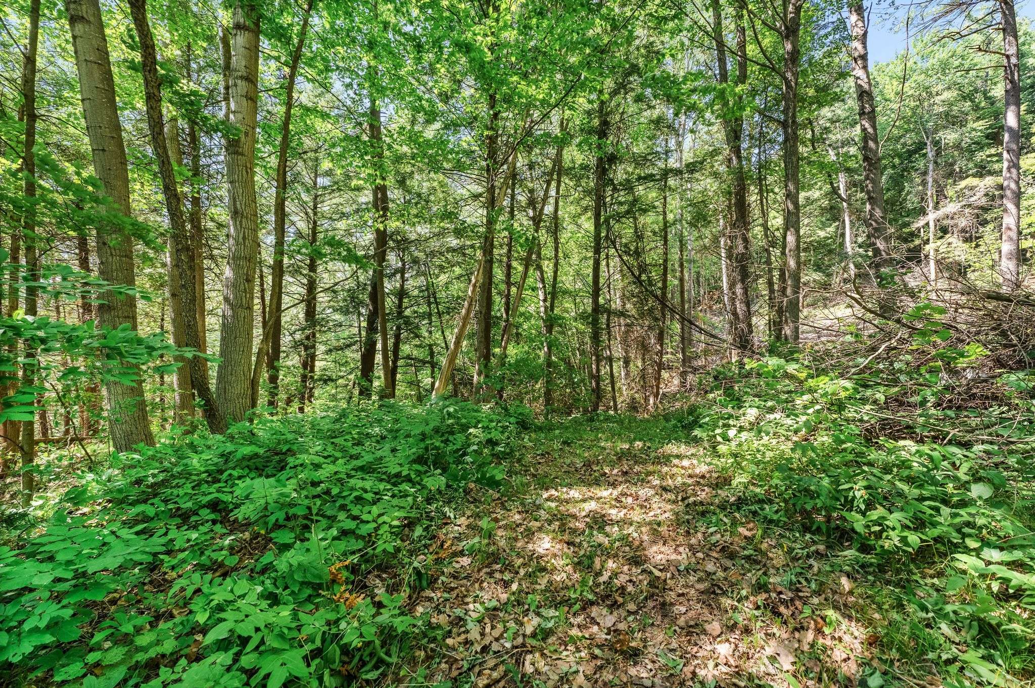 Alnwick/haldimand, ON K0K 2G0,0 Shelter Valley (Part 1) RD