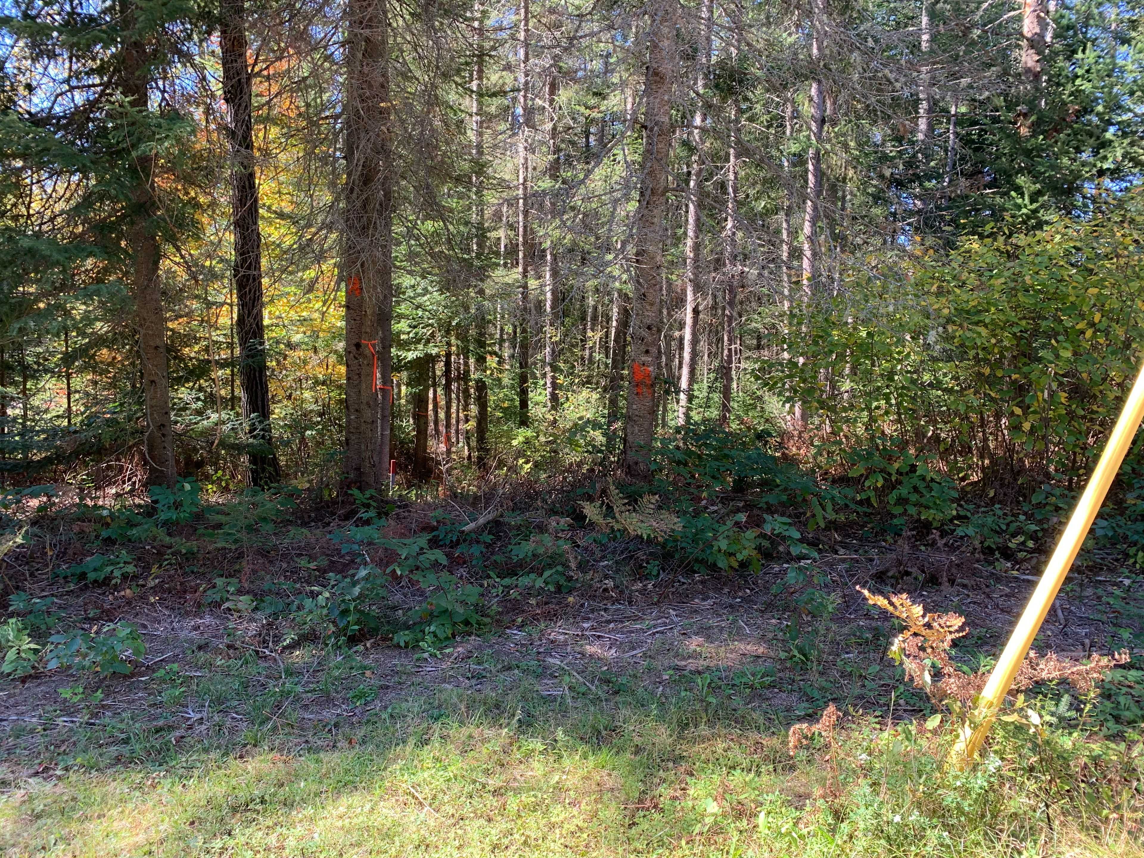 Kearney, ON P0A 1M0,0 Grass Lake RD