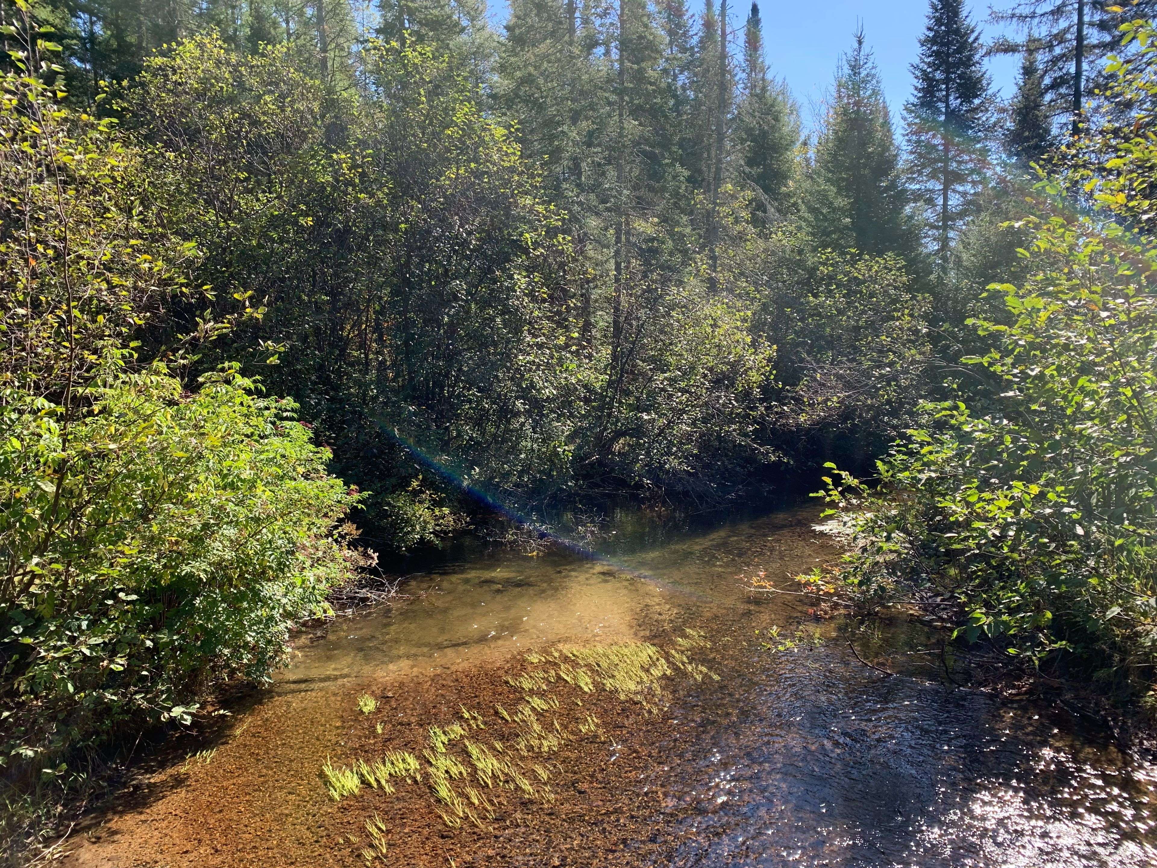 Kearney, ON P0A 1M0,0 Grass Lake RD