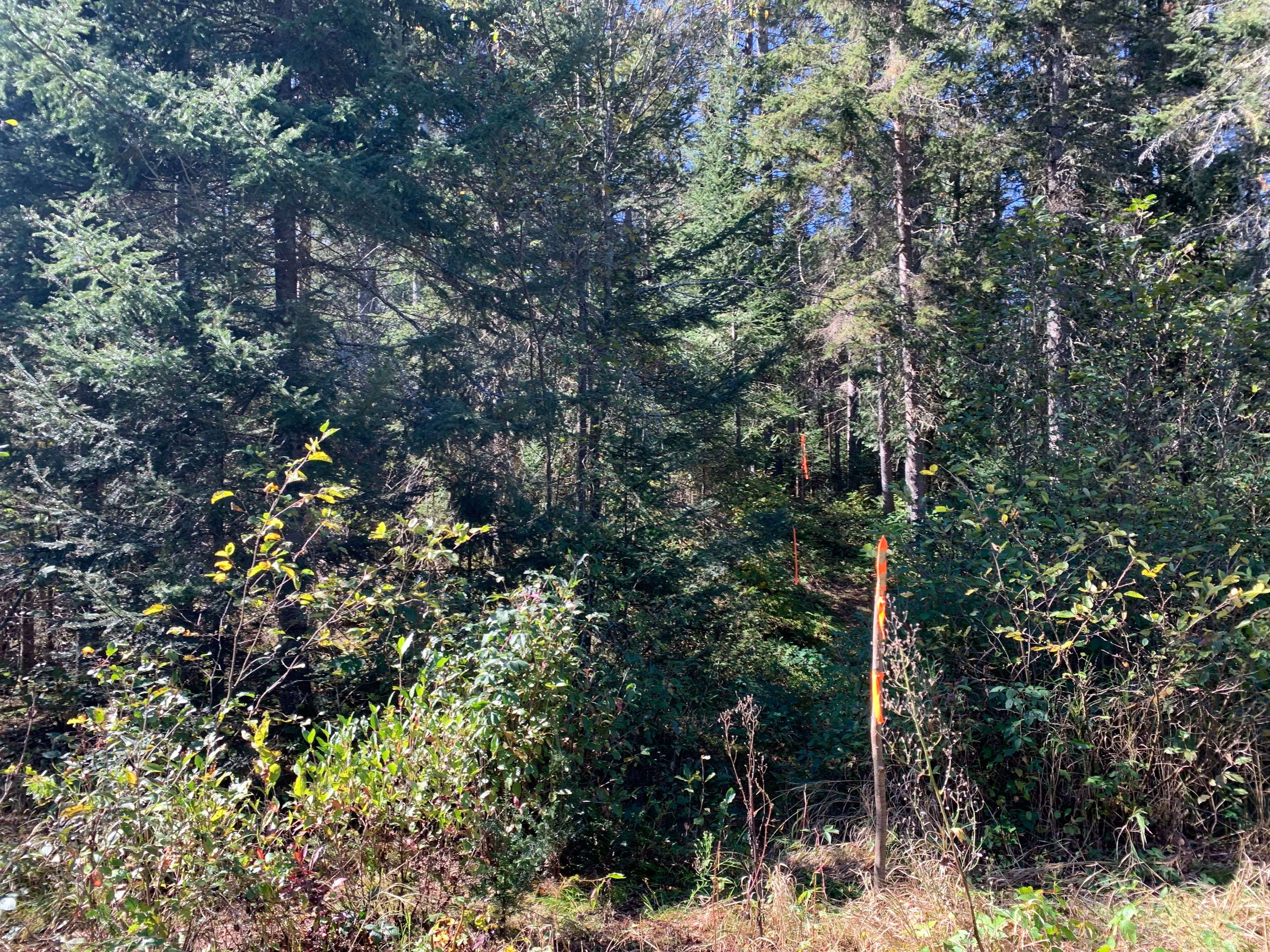 Kearney, ON P0A 1M0,0 Grass Lake RD