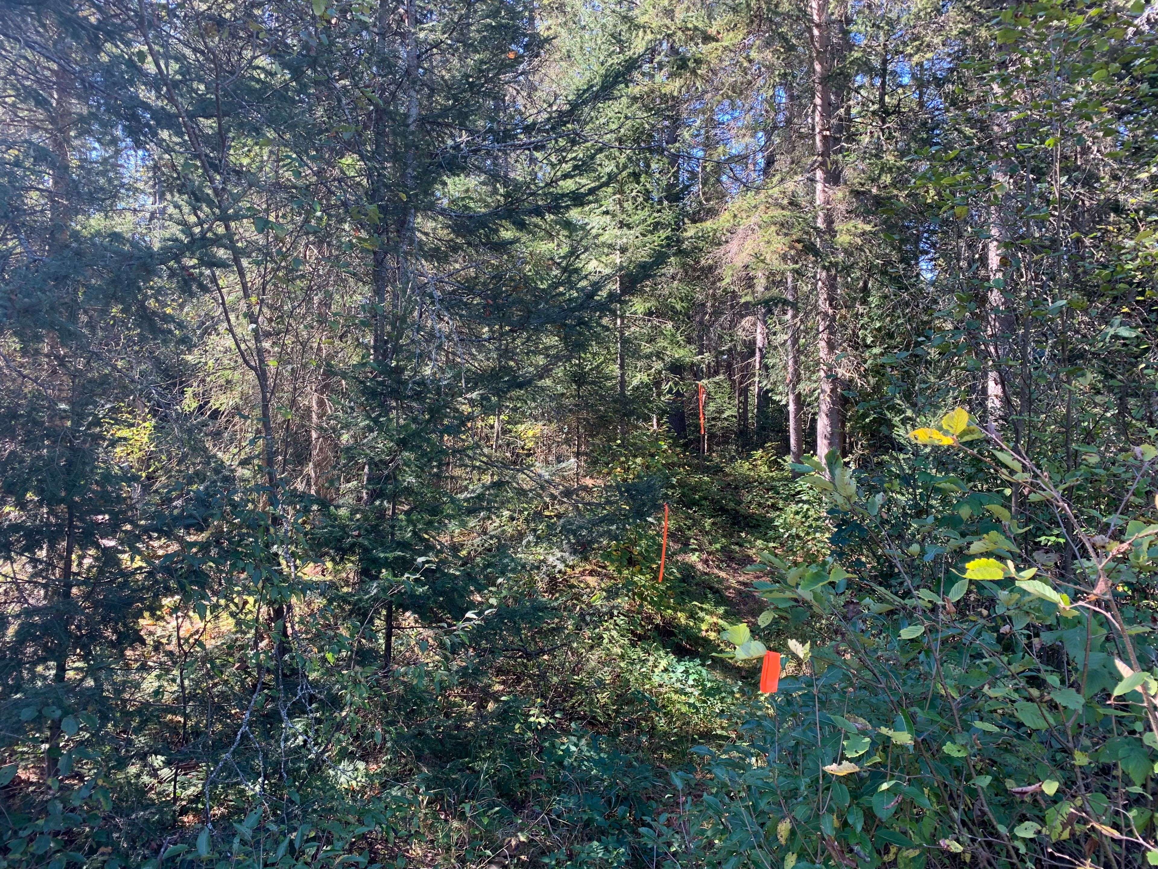 Kearney, ON P0A 1M0,0 Grass Lake RD