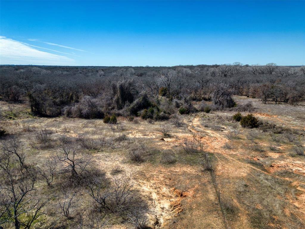 Paradise, TX 76073,Lot #3 CR 3791