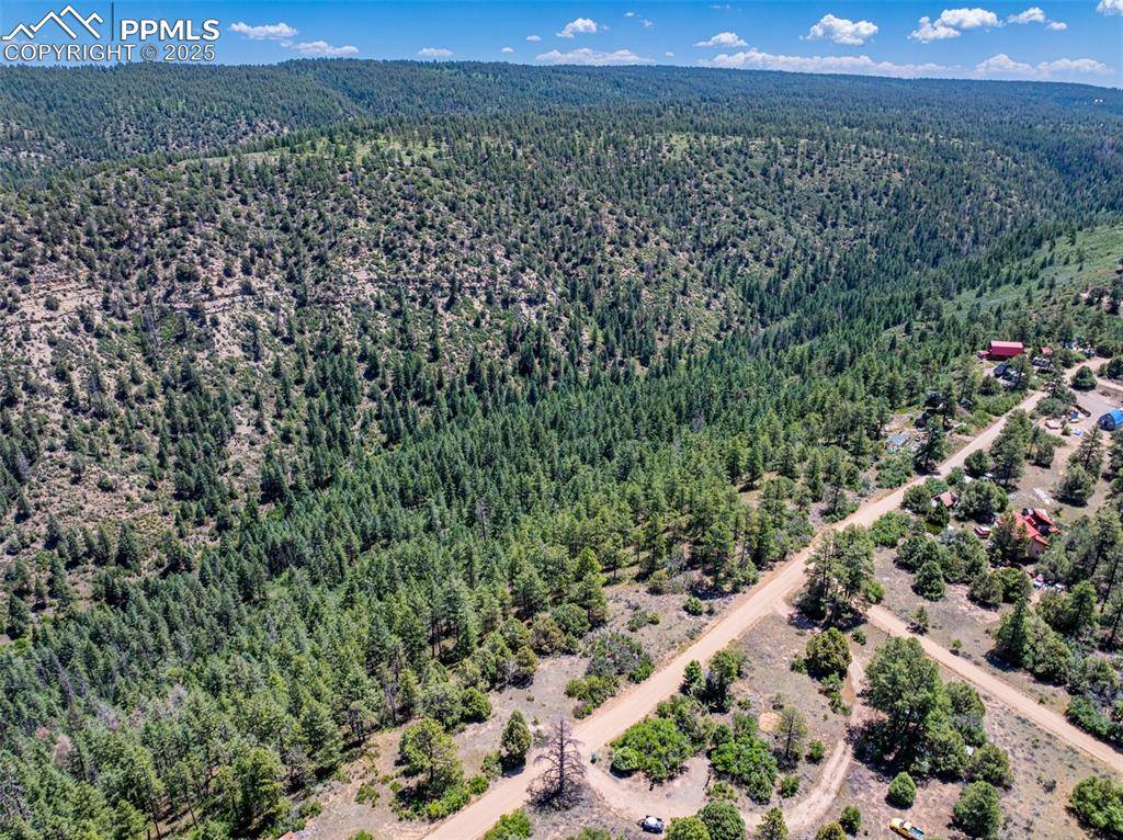 Pagosa Springs, CO 81147,783 Gun Barrel RD