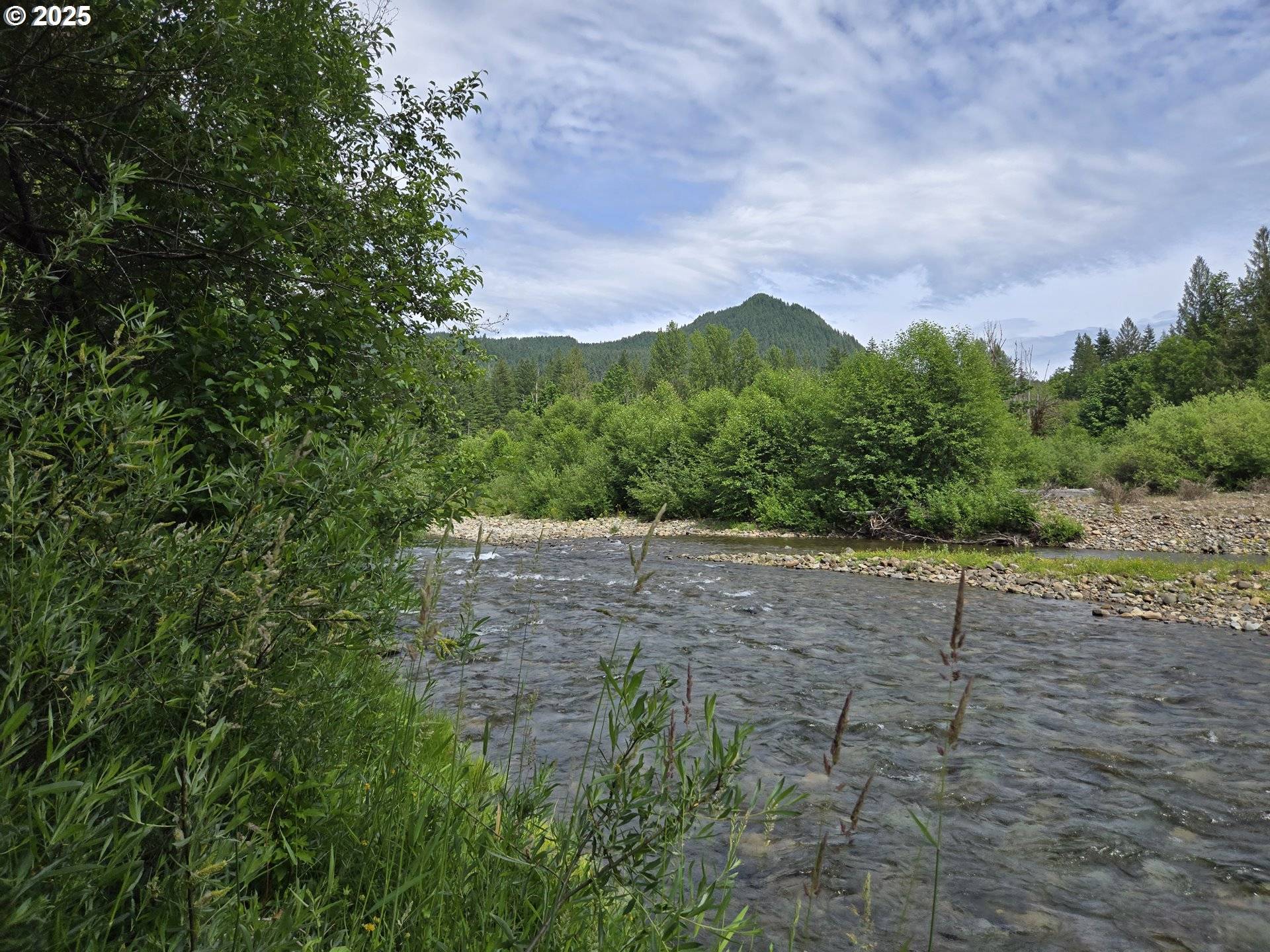Carson, WA 98610,161 CANNAVINA PVT RD #4