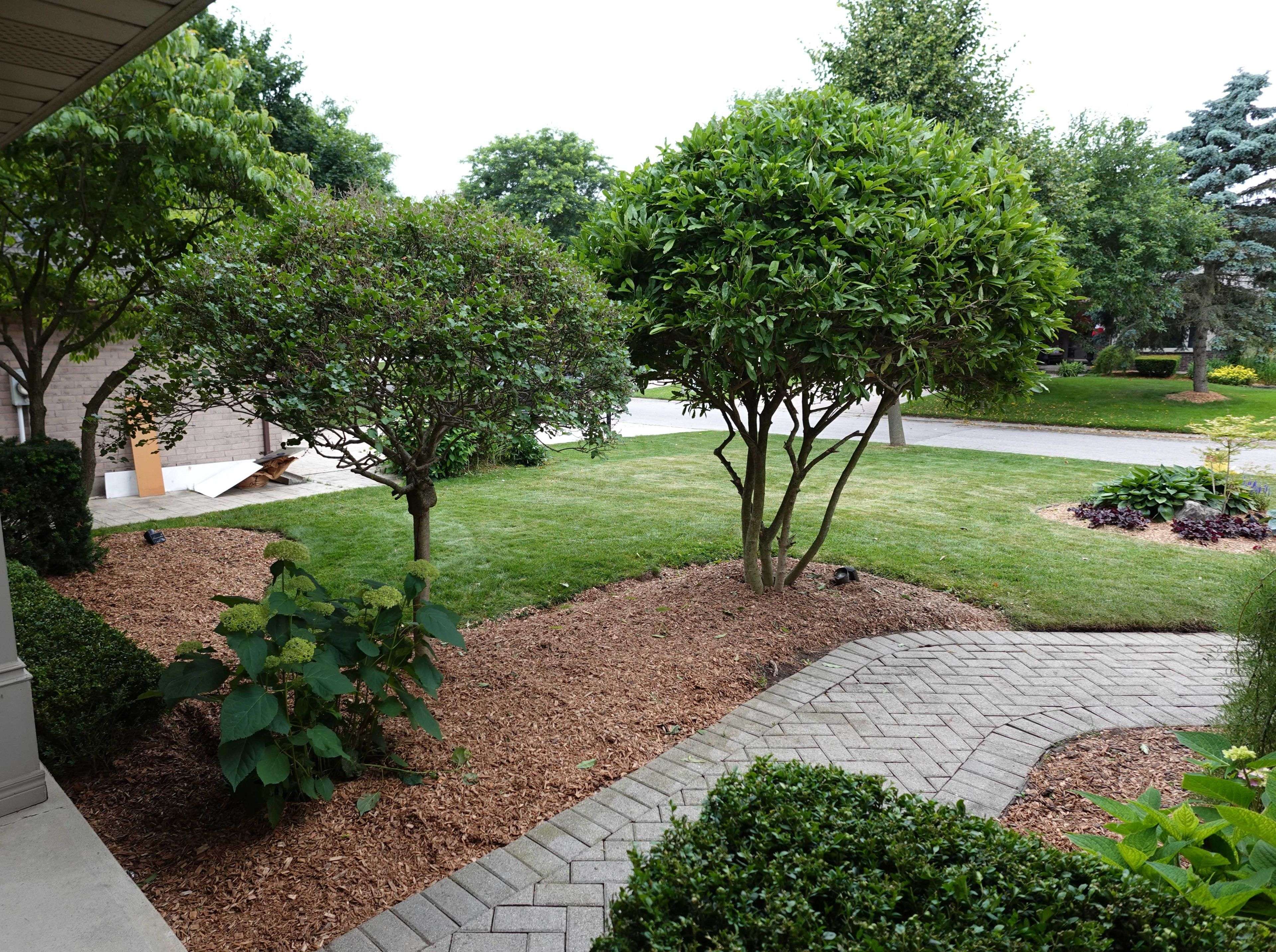 London North, ON N5X 2Z3,1797 Phillbrook CT