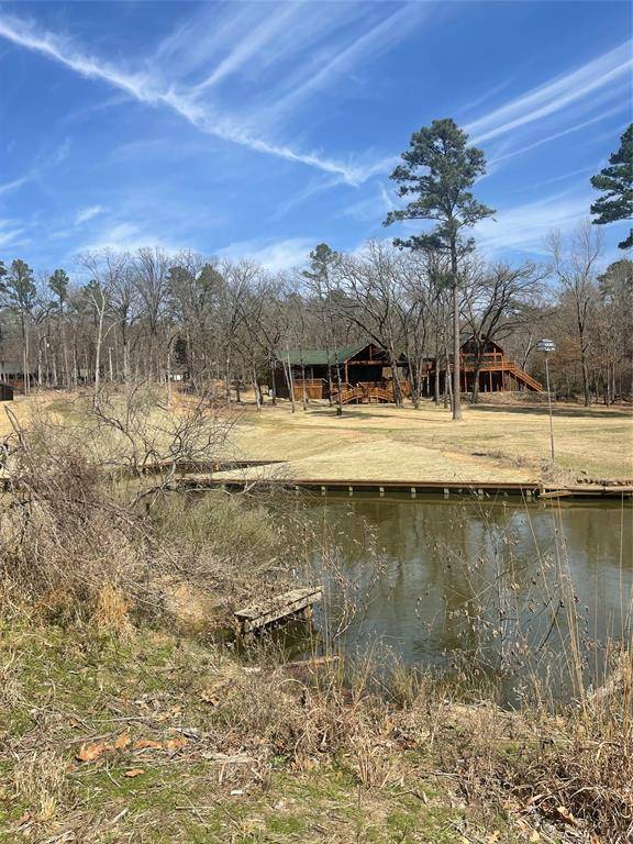 Scroggins, TX 75480,63R King Frederick Ct