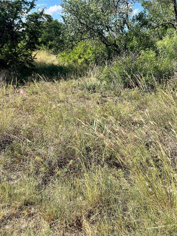 Brownwood, TX 76801,7134 Emerald Drive