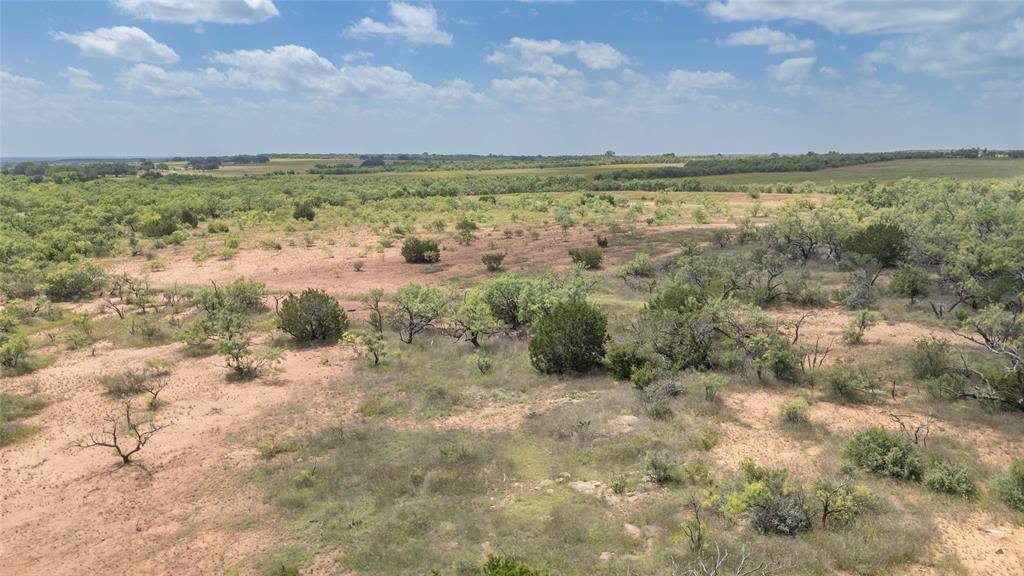 Santa Anna, TX 76878,TBD 40 acres FM 1176