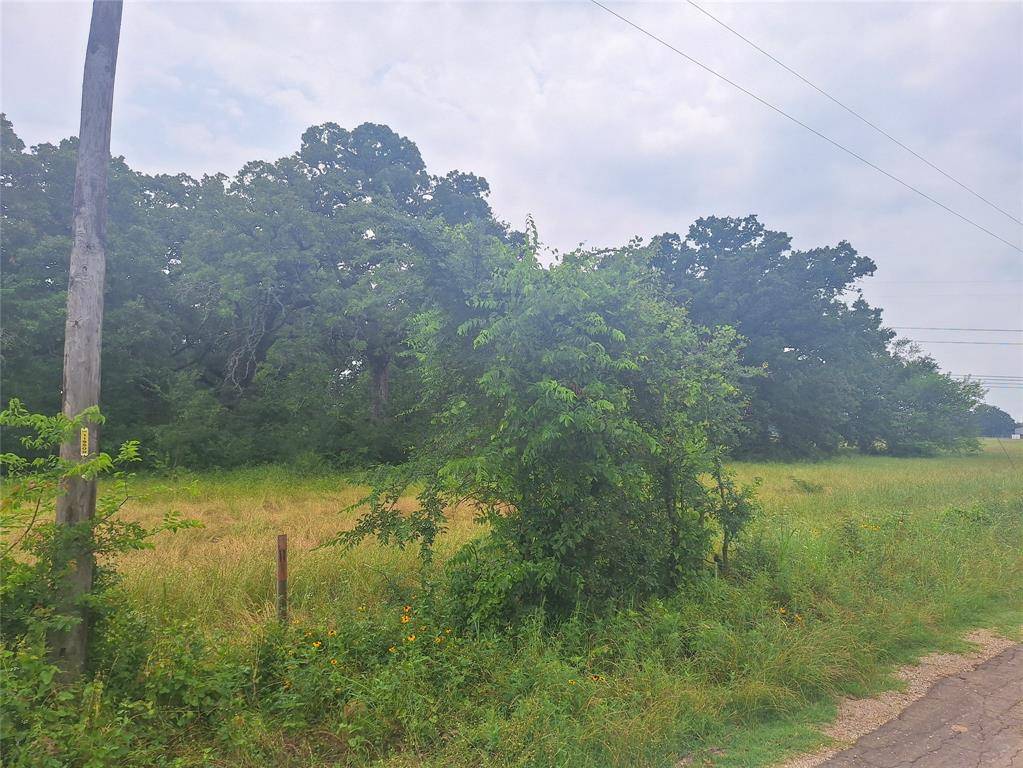 Kemp, TX 75143,Lot 9 CR 2147