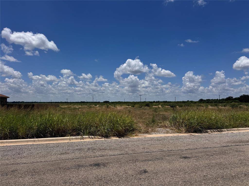 Early, TX 76802,129 Skyview Drive