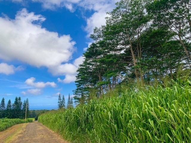 Pahala, HI 96777