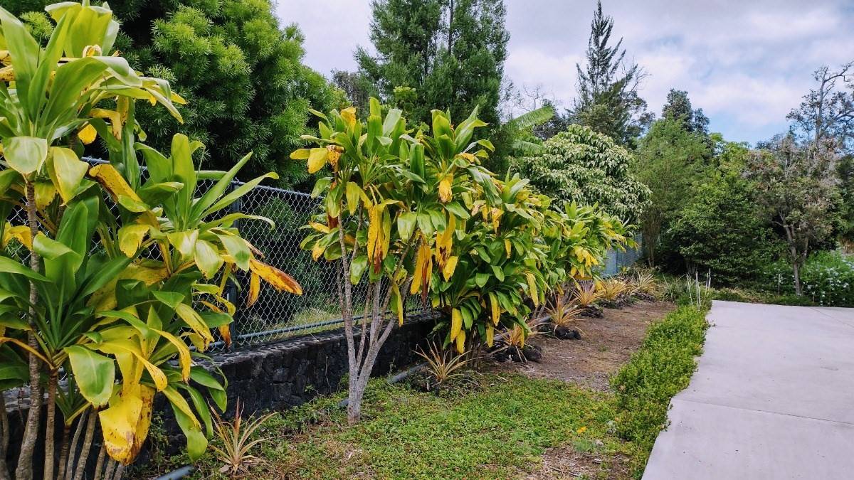 Ocean View, HI 96737,92-8741 LEHUA LN