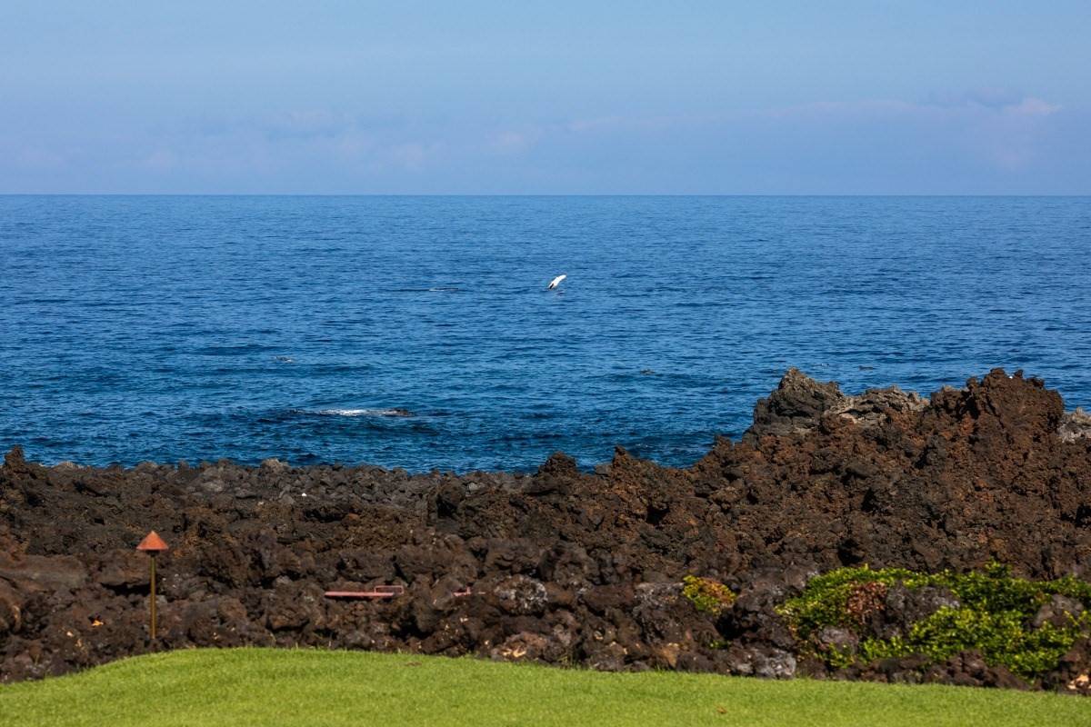 72-222 KOLOMUO PL, Kailua-kona, HI 96740