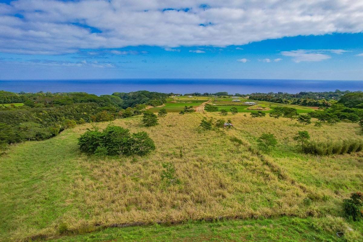 KAHI NANI RD #PARCEL 40, Honomu, HI 96728