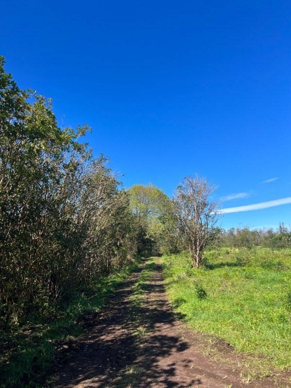 Pahoa, HI 96778,15-275 NORTH RD