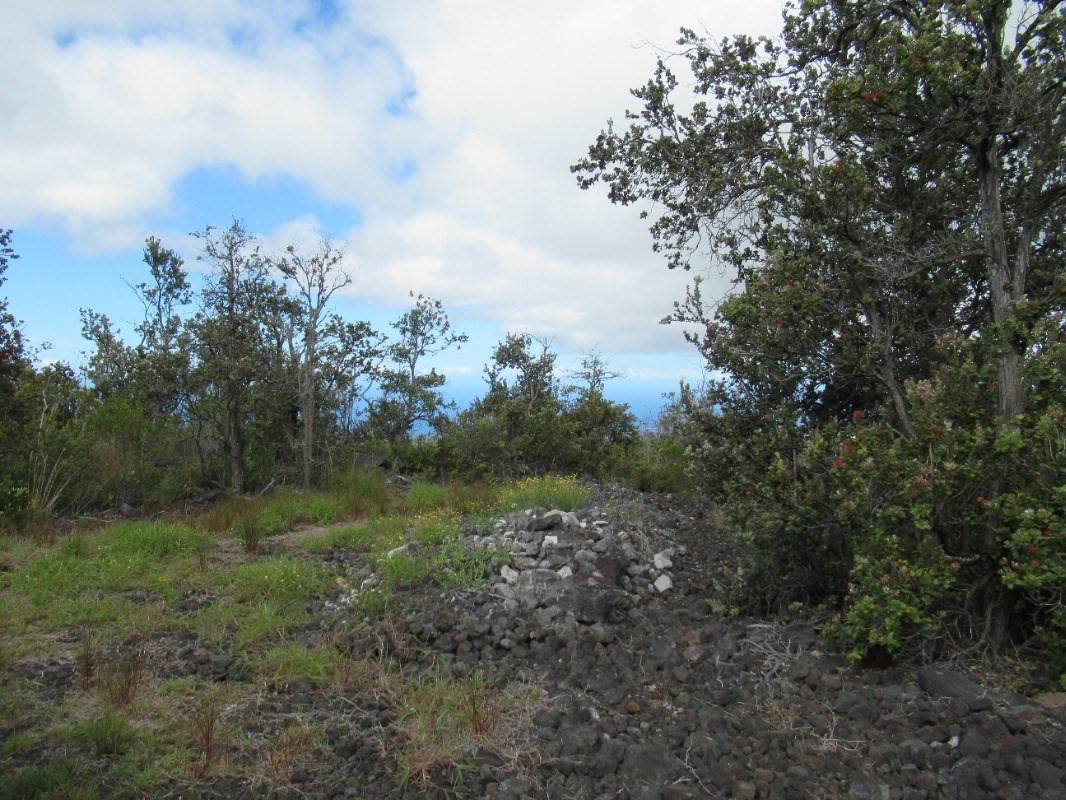 Ocean View, HI 96737,92-8643 REEF PKWY
