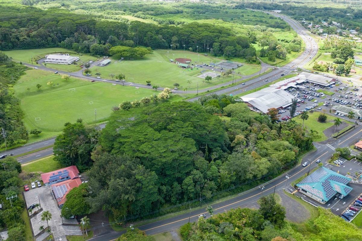 Kurtistown, HI 96760,16-606 OLD VOLCANO RD