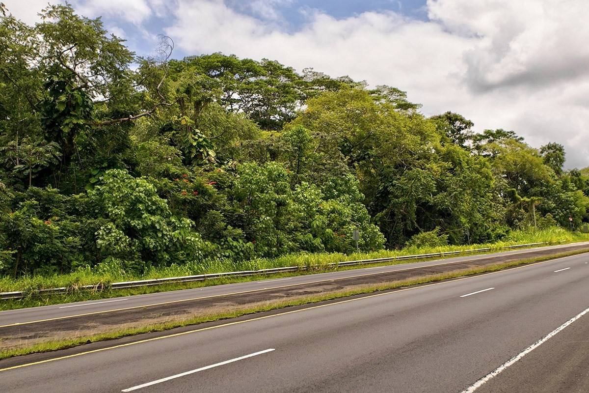 Kurtistown, HI 96760,16-606 OLD VOLCANO RD