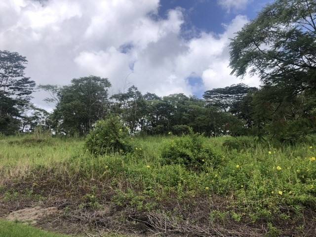 Kurtistown, HI 96760,VOLCANO RD