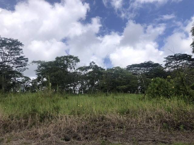 Kurtistown, HI 96760,VOLCANO RD