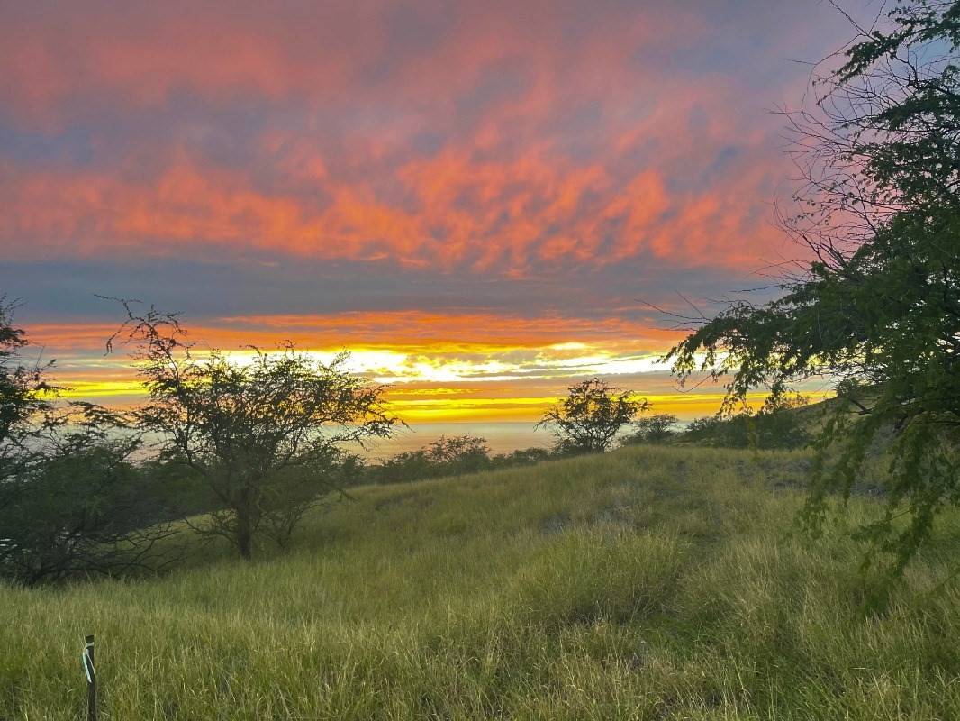 Kamuela, HI 96743,KAALA RD