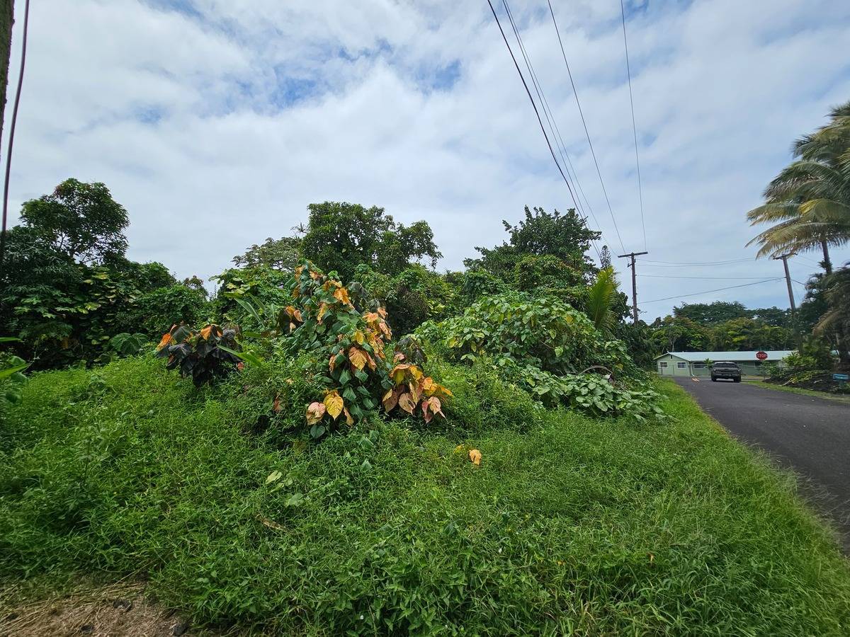 Pahoa, HI 96778,PALANI ST