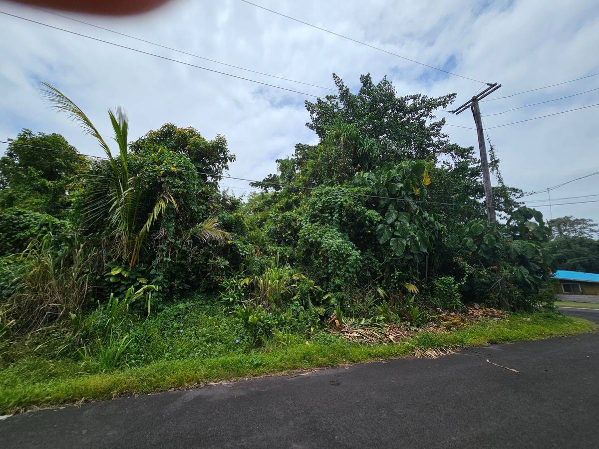 Pahoa, HI 96778,PALANI ST