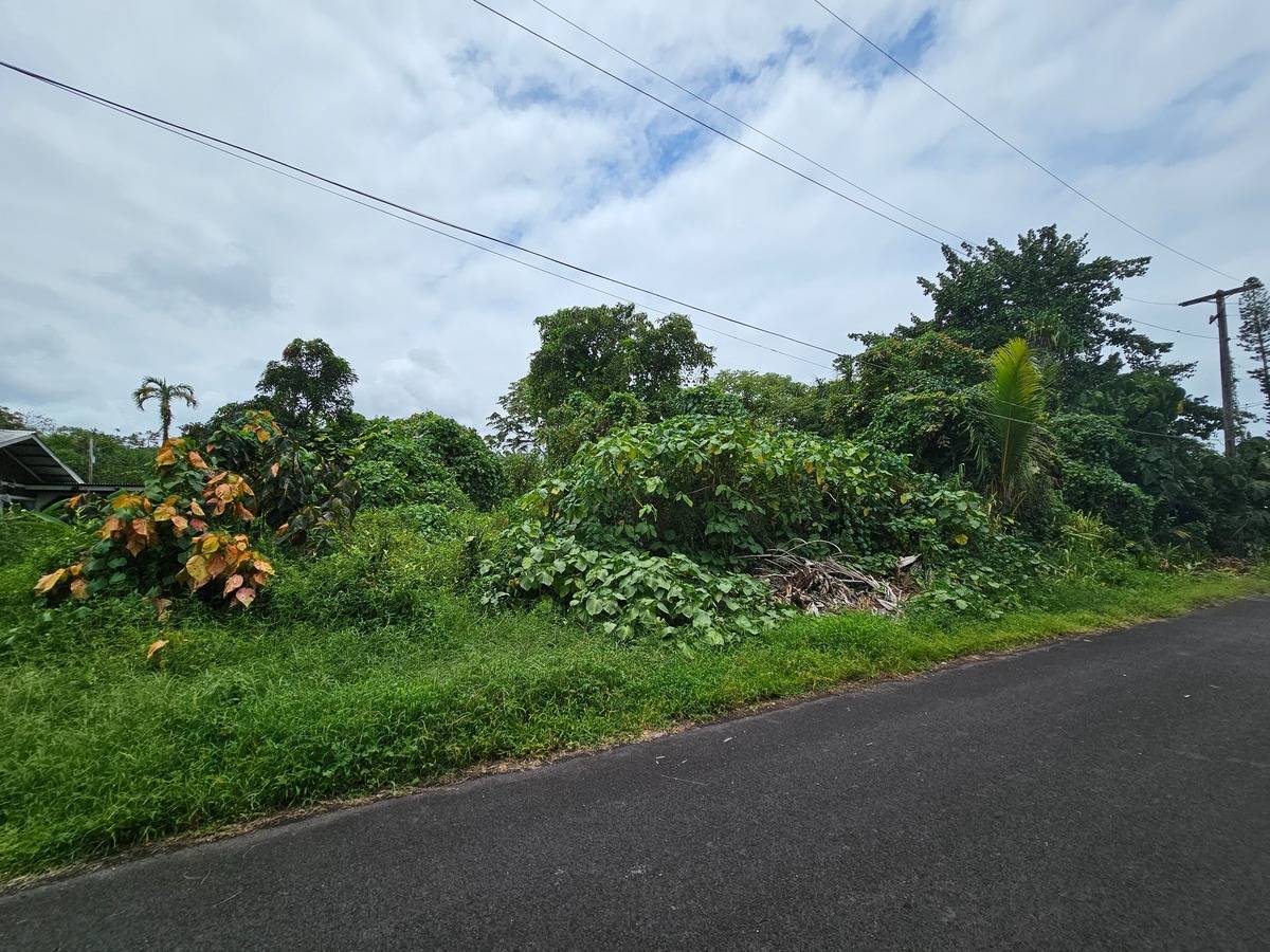 Pahoa, HI 96778,PALANI ST