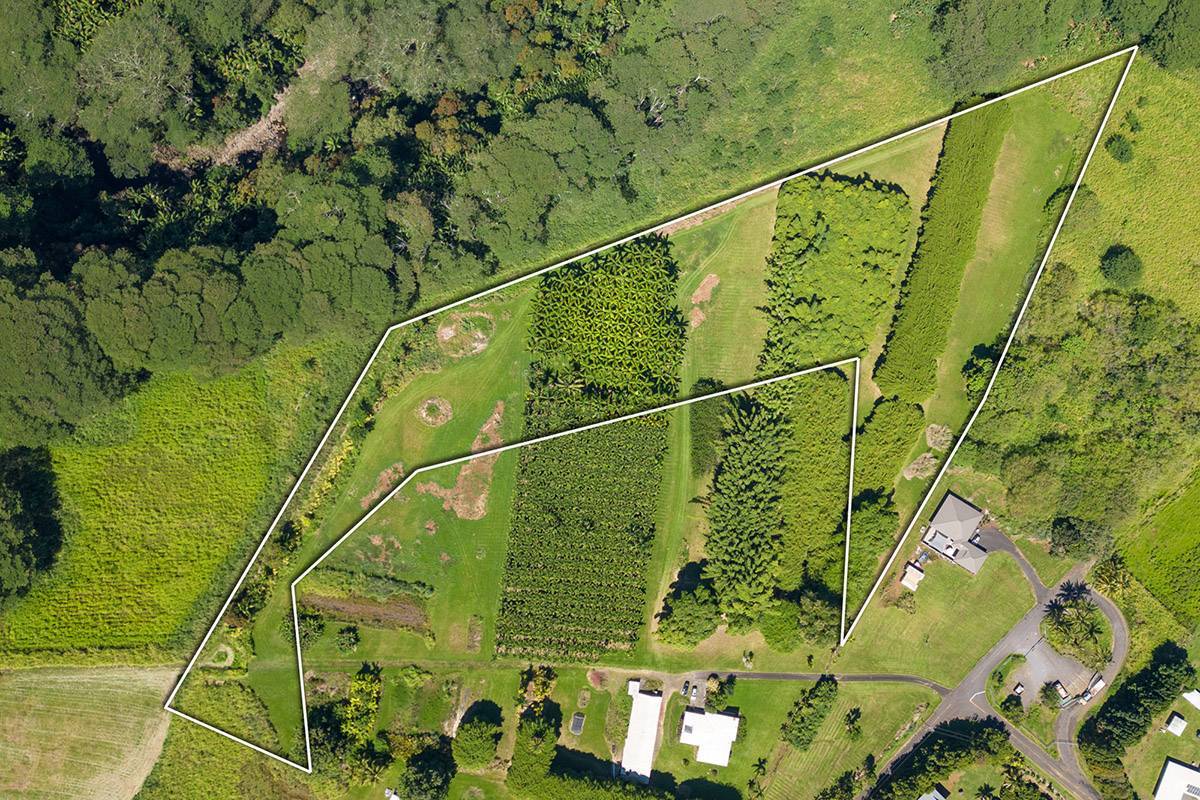 28-1829 OLD MAMALAHOA HWY, Honomu, HI 96728