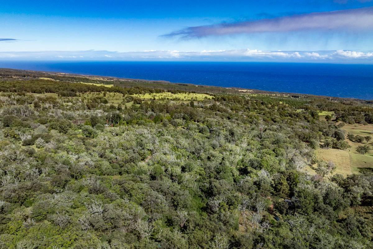 Paauilo, HI 96776,OLD STABLE RD