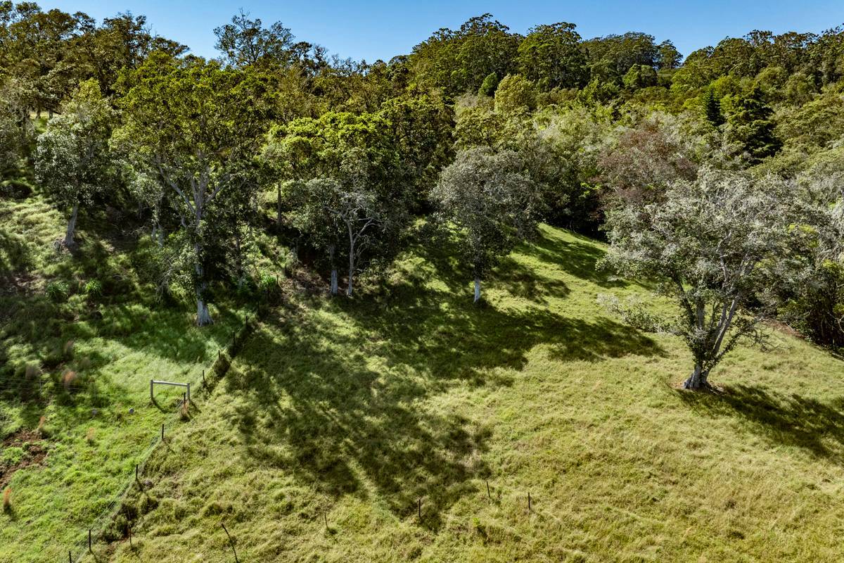 Paauilo, HI 96776,OLD STABLE RD