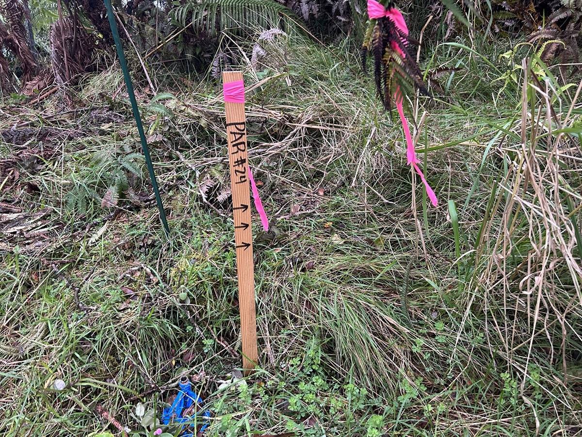 Volcano, HI 96785,ALA OHIA ST