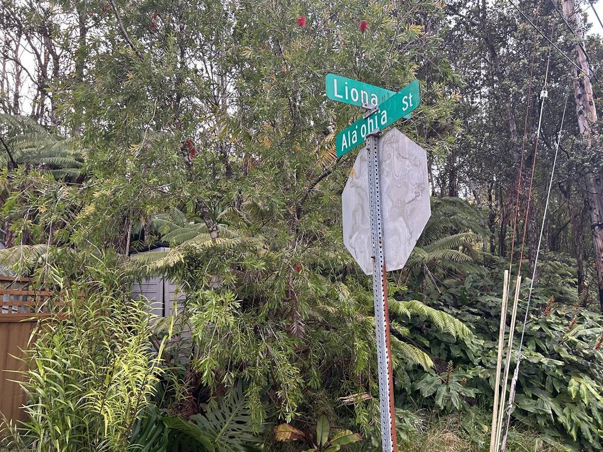 Volcano, HI 96785,ALA OHIA ST