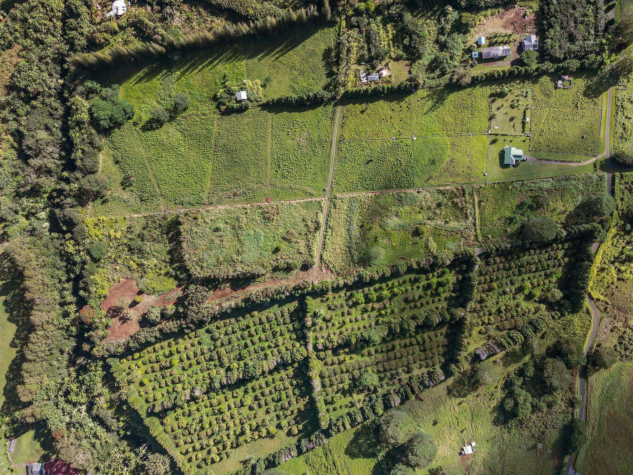 29-2458 KAIWIKI HOMESTEAD RD, Hakalau, HI 96710