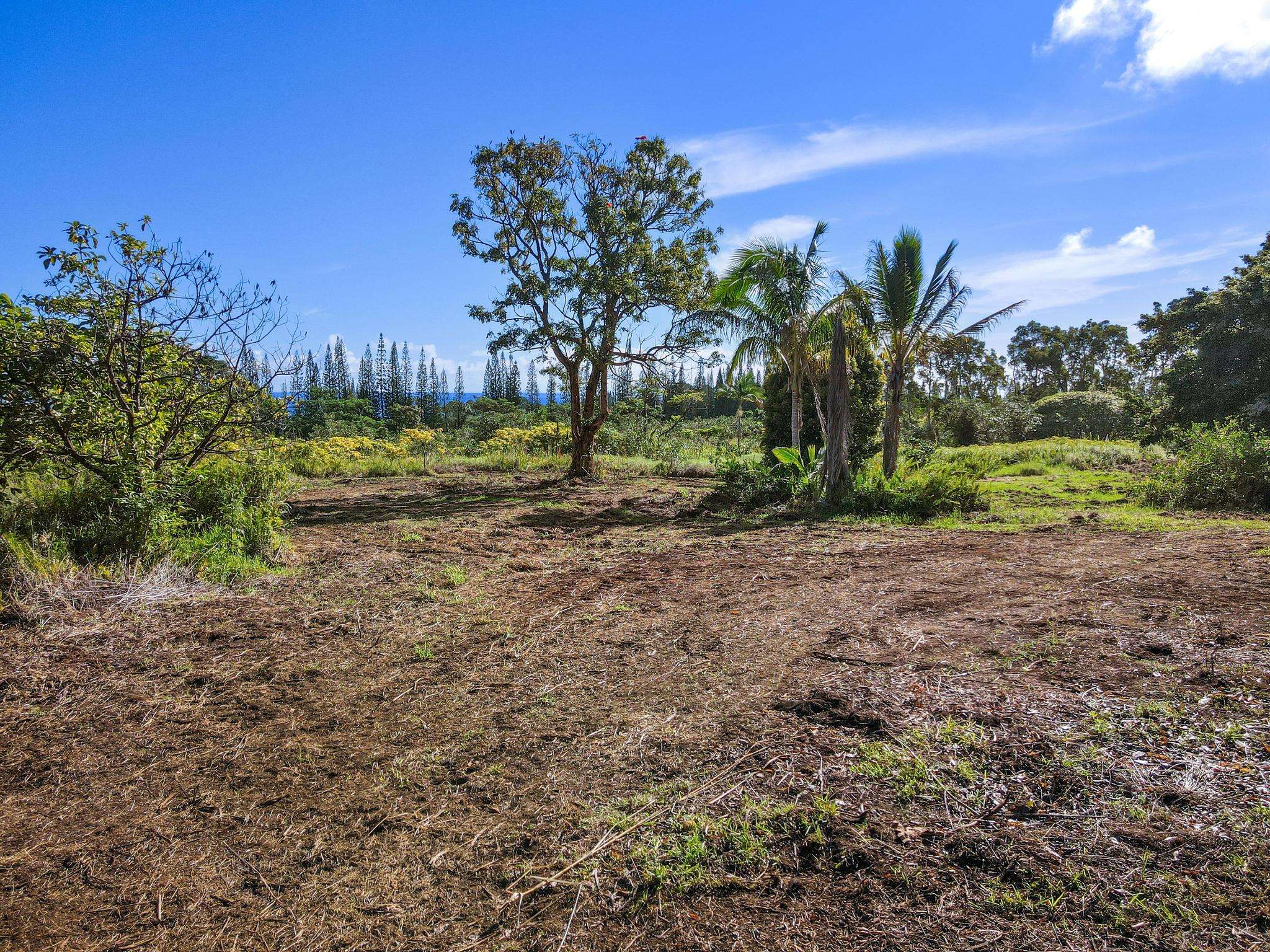 29-2458 KAIWIKI HOMESTEAD RD, Hakalau, HI 96710
