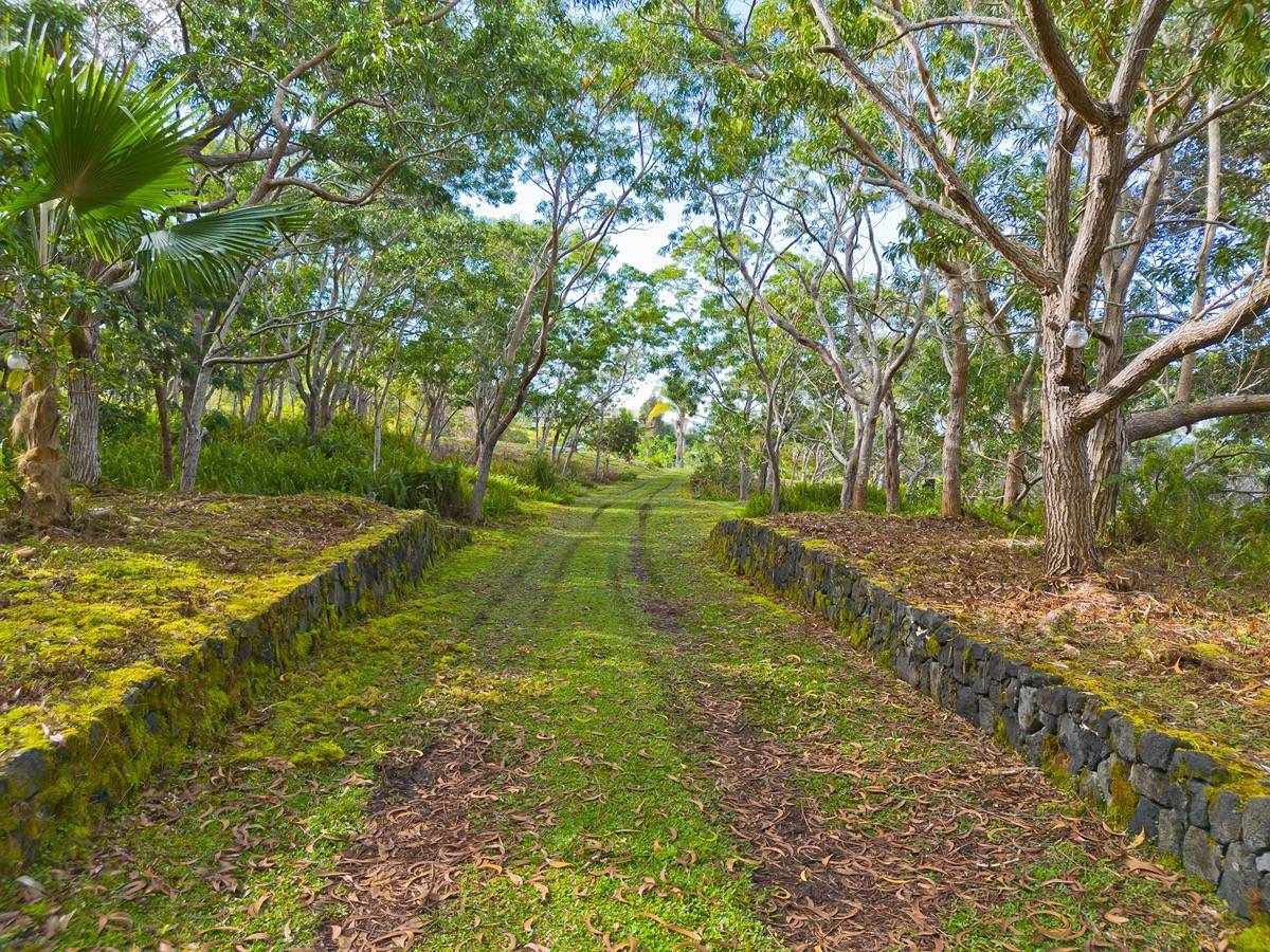88-1569 ALA PAKAUA RD, Captain Cook, HI 96704