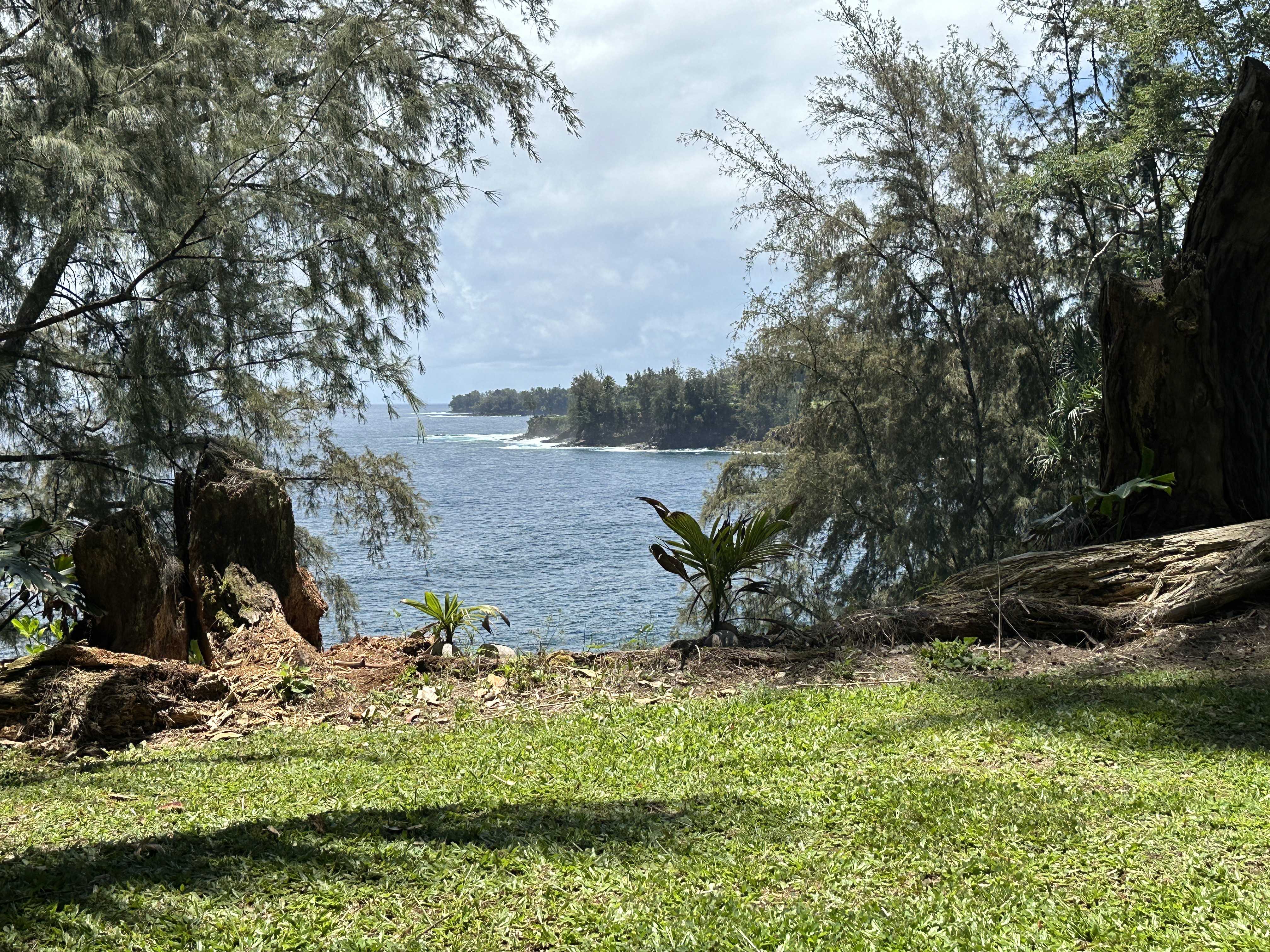 29-3792 Hawaii Belt Road, Hakalau, HI 96710