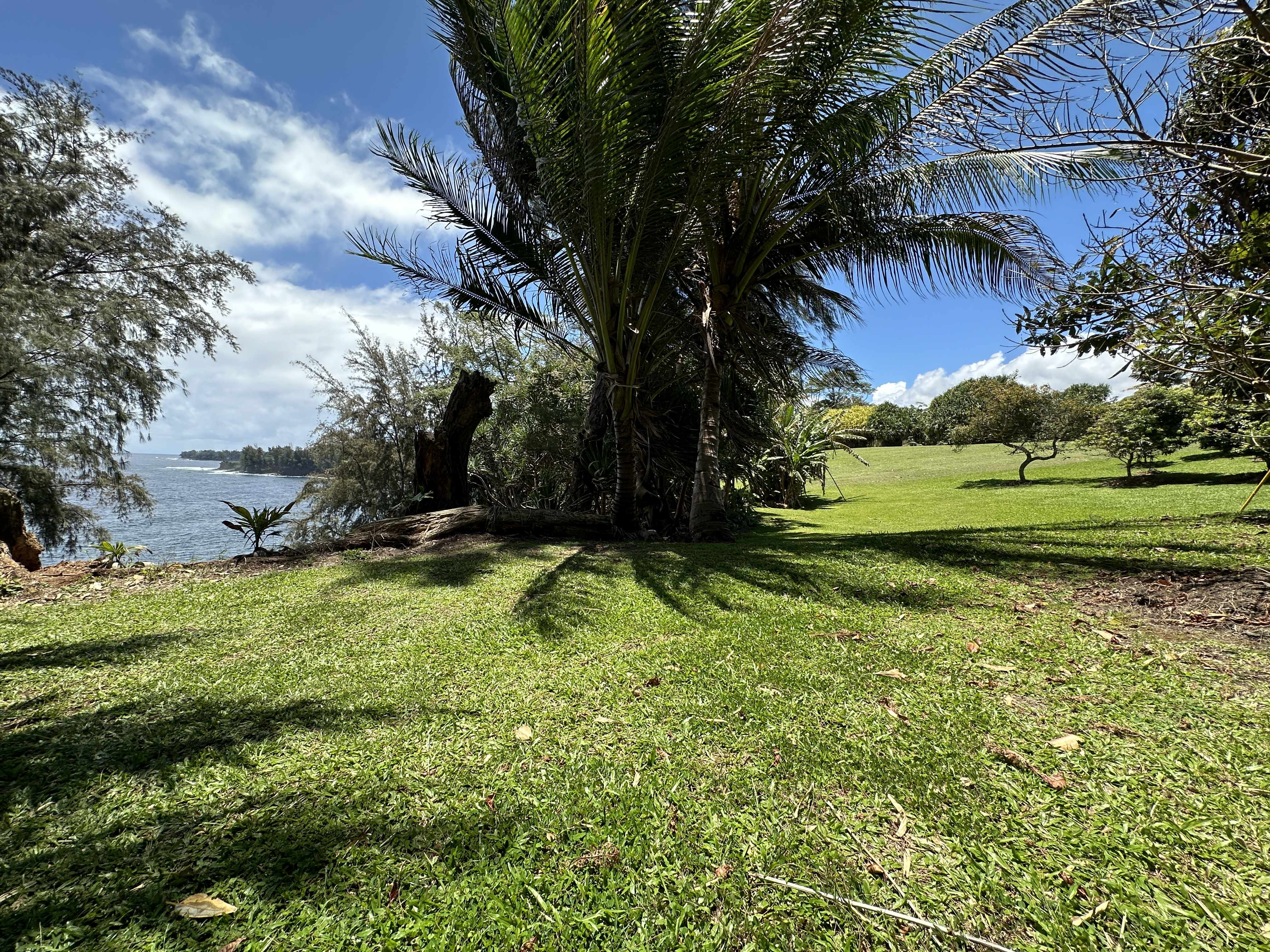 29-3792 Hawaii Belt Road, Hakalau, HI 96710
