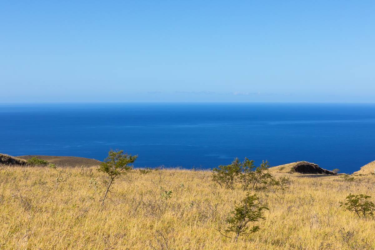 Kamuela, HI 96743,KAMAKANI LOOP